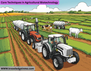 Core Techniques in Agricultural Biotechnology