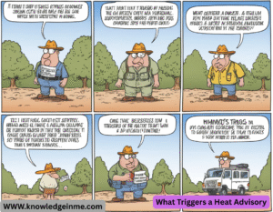 What Triggers a Heat Advisory