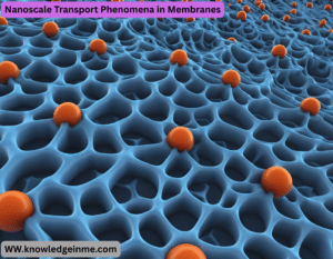 Nanoscale Transport Phenomena in Membranes