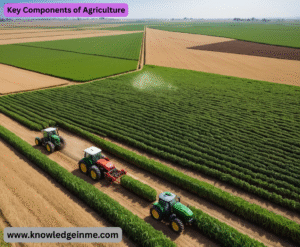 Key Components of Agriculture