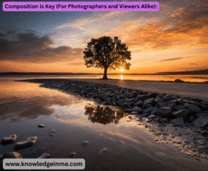 Composition is Key (For Photographers and Viewers Alike):