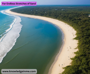 For Endless Stretches of Sand