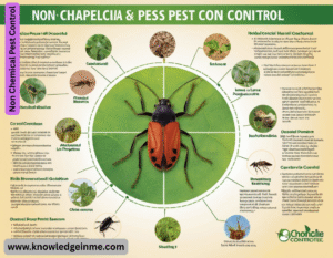 Non Chemical Pest Control