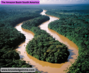 The Amazon Basin South America