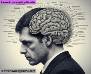 Paranoid personality disorder