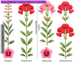 Beyond Mendel: Complex Patterns of Heredity