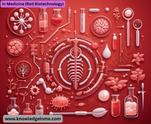 In Medicine (Red Biotechnology)