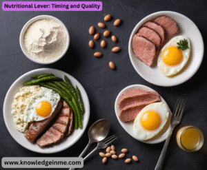 Nutritional Lever: Timing and Quality