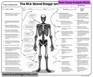 Root Cause Analysis (RCA)