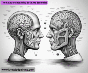 The Relationship: Why Both Are Essential