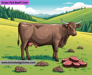 Grass Fed Beef Liver
